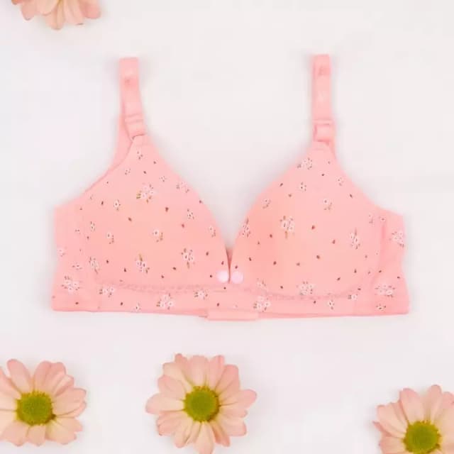 Clothes bra