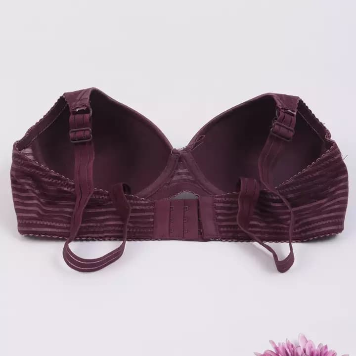 Clothes bra