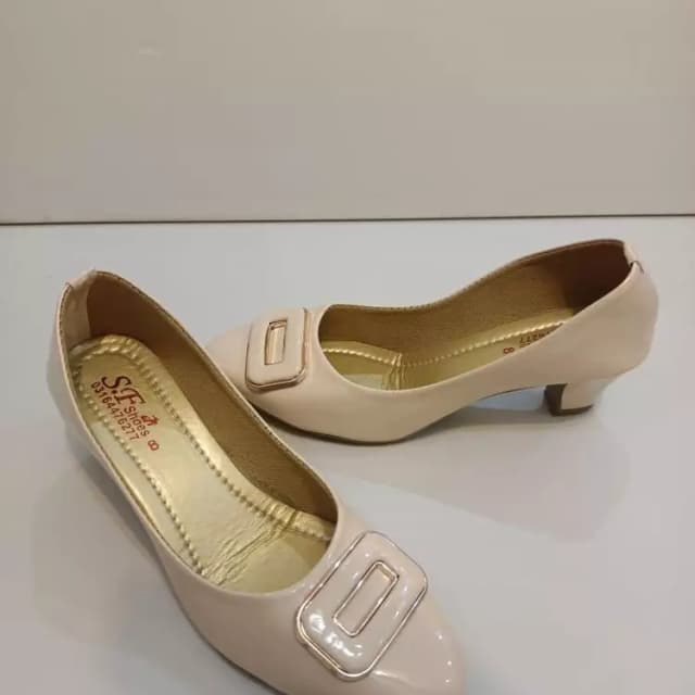 Beautiful lady shoe